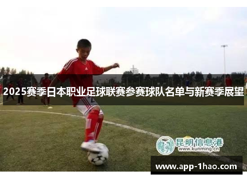 2025赛季日本职业足球联赛参赛球队名单与新赛季展望