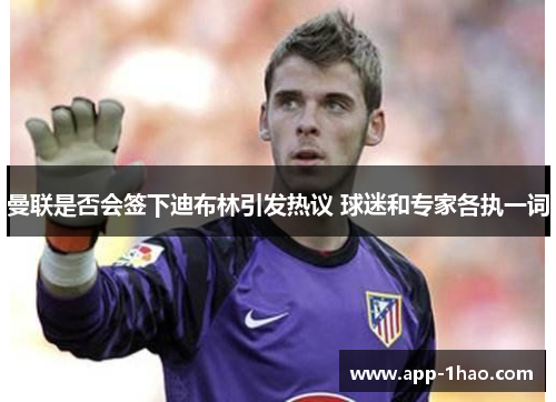 曼联是否会签下迪布林引发热议 球迷和专家各执一词