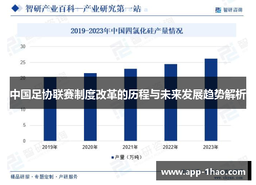 中国足协联赛制度改革的历程与未来发展趋势解析