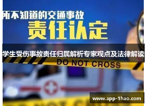 学生受伤事故责任归属解析专家观点及法律解读
