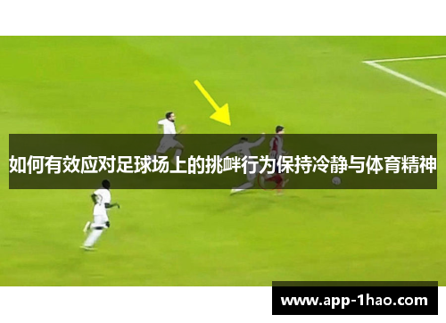 如何有效应对足球场上的挑衅行为保持冷静与体育精神
