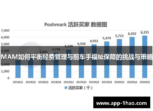 MAM如何平衡经费管理与前车手福祉保障的挑战与策略 MAM如何平衡经费管理与前车手福祉保障的挑战与策略