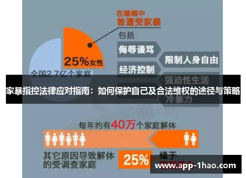 家暴指控法律应对指南：如何保护自己及合法维权的途径与策略