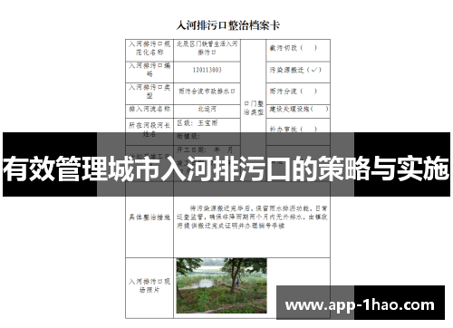 有效管理城市入河排污口的策略与实施