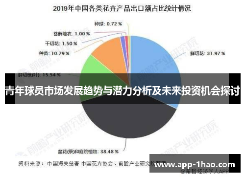 青年球员市场发展趋势与潜力分析及未来投资机会探讨 青年球员市场发展趋势与潜力分析及未来投资机会探讨