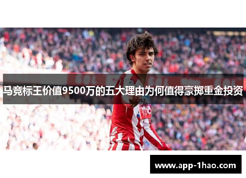 马竞标王价值9500万的五大理由为何值得豪掷重金投资