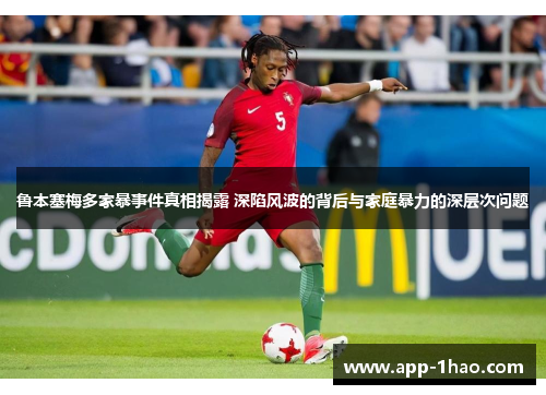 鲁本塞梅多家暴事件真相揭露 深陷风波的背后与家庭暴力的深层次问题