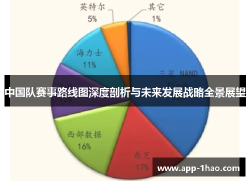 中国队赛事路线图深度剖析与未来发展战略全景展望