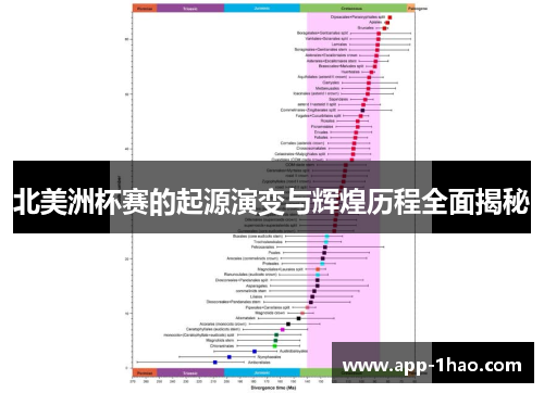 北美洲杯赛的起源演变与辉煌历程全面揭秘