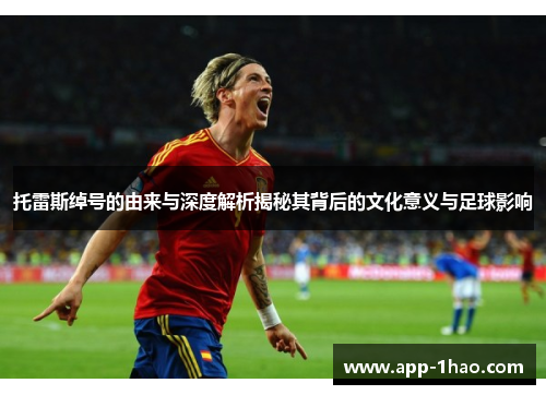 托雷斯绰号的由来与深度解析揭秘其背后的文化意义与足球影响 托雷斯绰号的由来与深度解析揭秘其背后的文化意义与足球影响