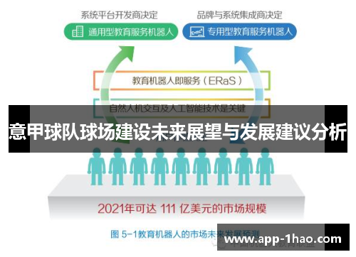 意甲球队球场建设未来展望与发展建议分析